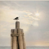 Set Of Two By The Sea White Framed Print Wall Art - Homeroots - Flyclothing LLC