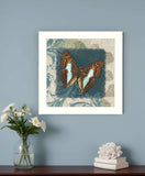 Swirl Butterfly White Framed Print Wall Art - Homeroots - Flyclothing LLC