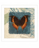 Swirl Butterfly II White Framed Print Wall Art - Homeroots - Flyclothing LLC