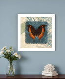 Swirl Butterfly II White Framed Print Wall Art - Homeroots - Flyclothing LLC