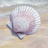 Scallop White Framed Print Wall Art - Homeroots - Flyclothing LLC