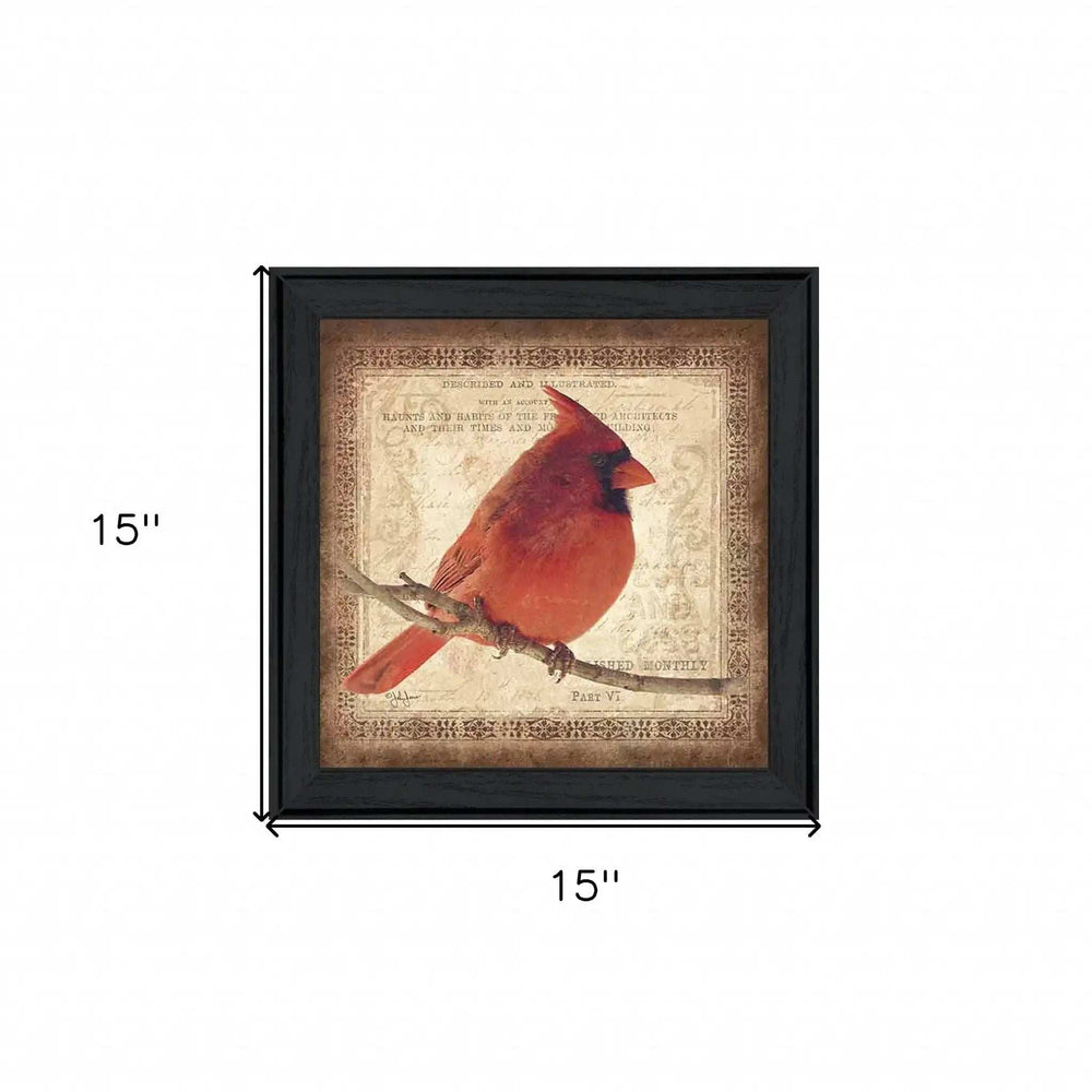Male Cardinal 2 Black Framed Print Wall Art - Homeroots - Flyclothing LLC