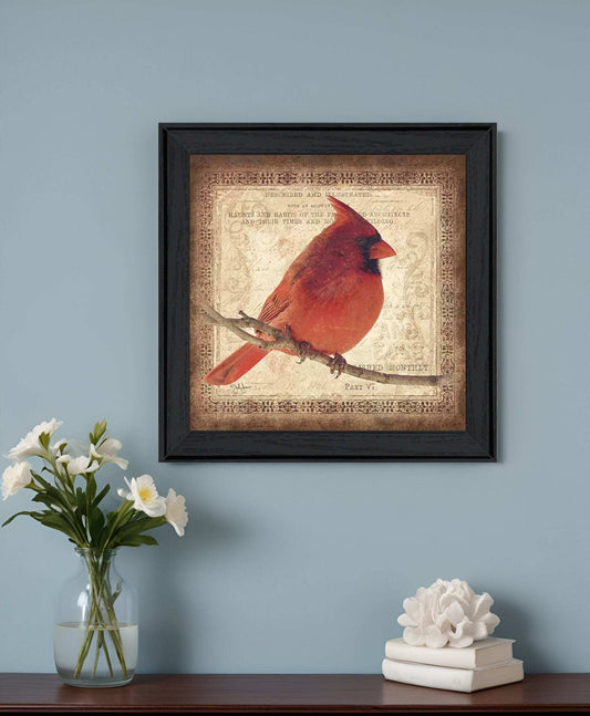 Male Cardinal 2 Black Framed Print Wall Art - Homeroots - Flyclothing LLC