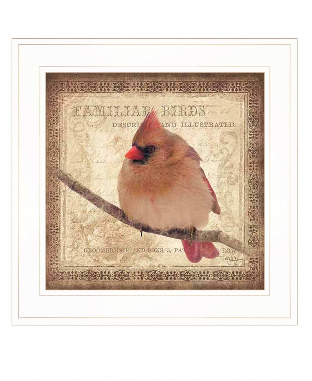 Female Cardinal 1 White Framed Print Wall Art - Homeroots - Flyclothing LLC
