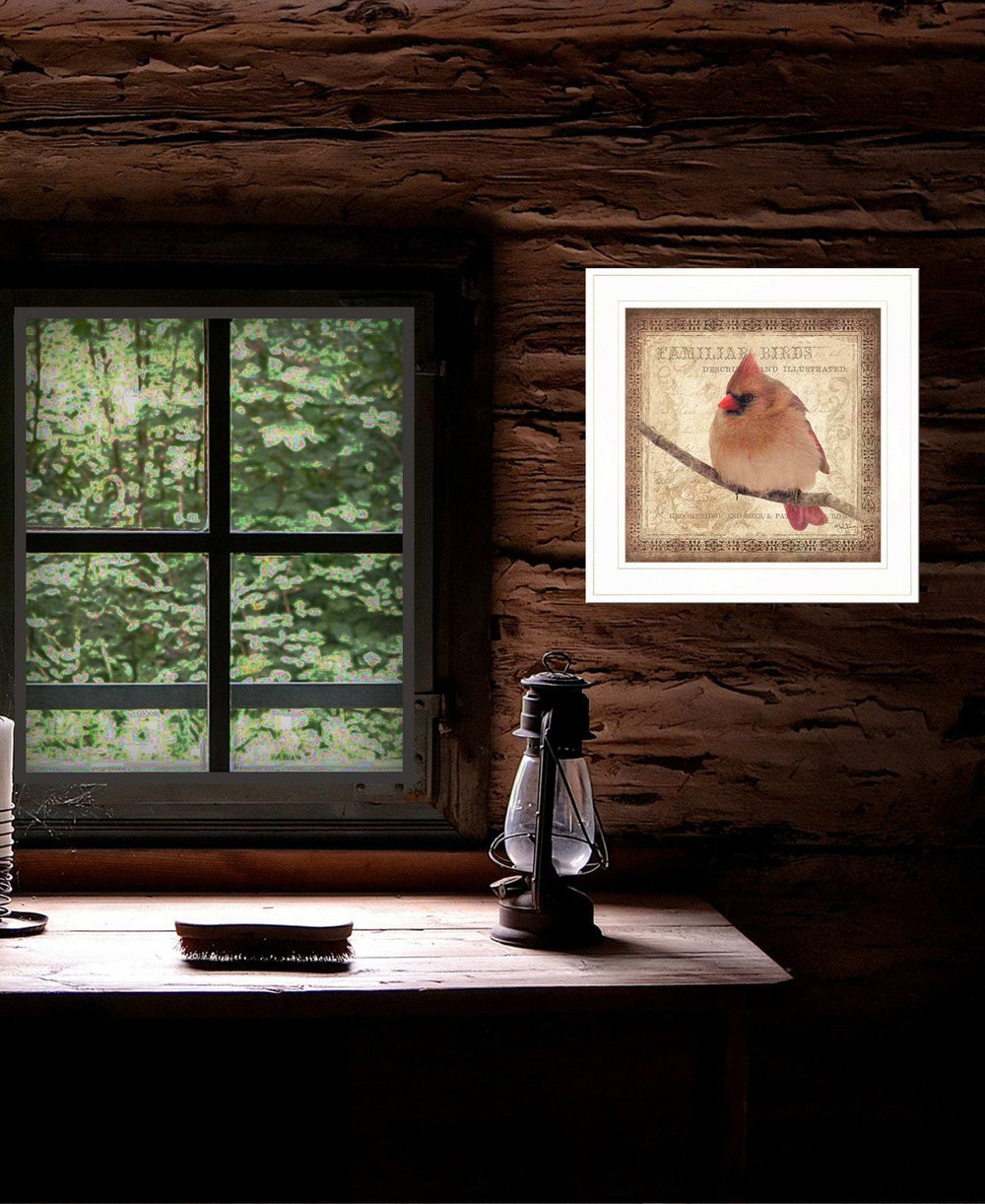 Female Cardinal 1 White Framed Print Wall Art - Homeroots - Flyclothing LLC