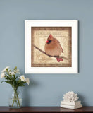 Female Cardinal 1 White Framed Print Wall Art - Homeroots - Flyclothing LLC