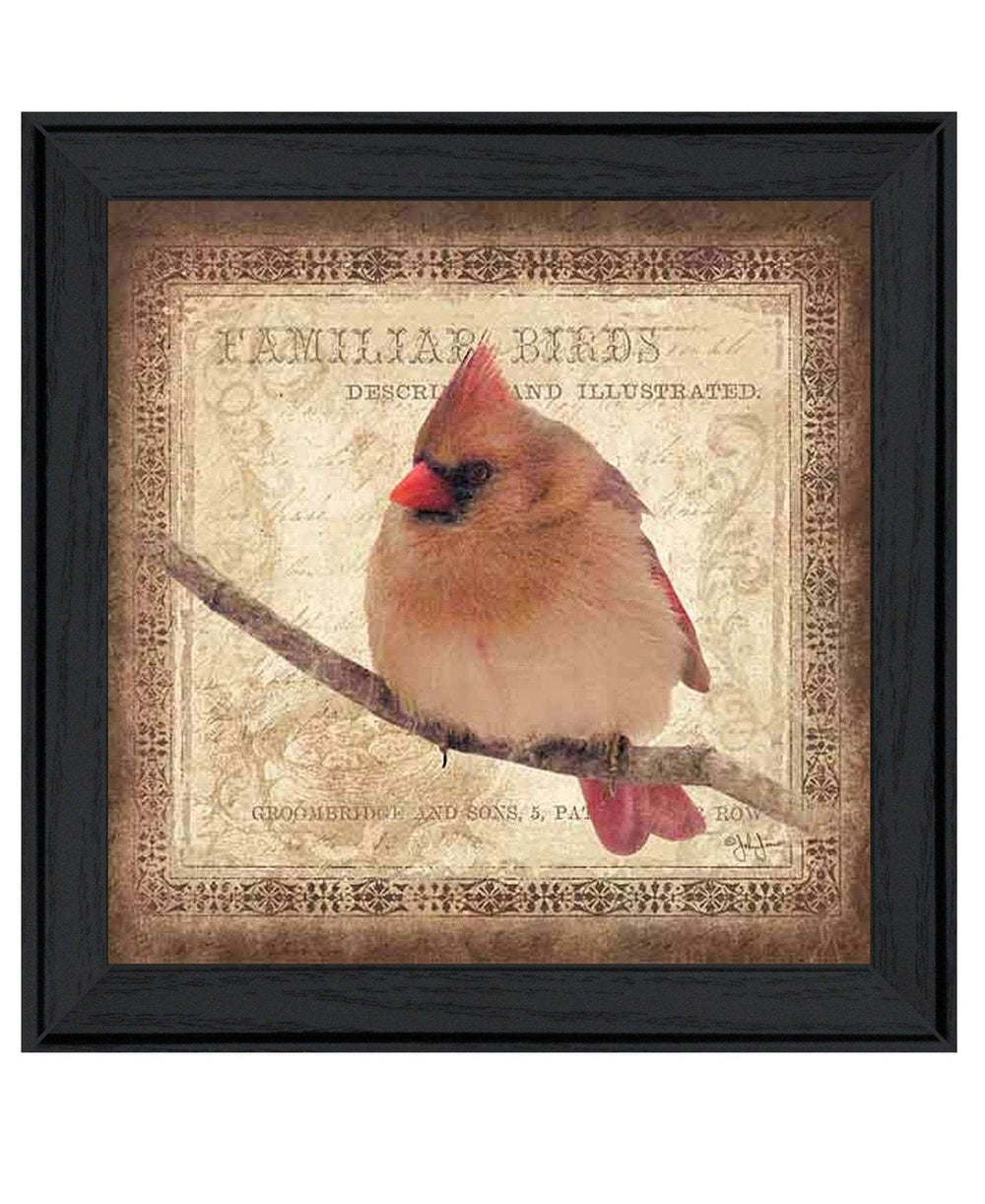 Female Cardinal 2 Black Framed Print Wall Art - Homeroots - Flyclothing LLC