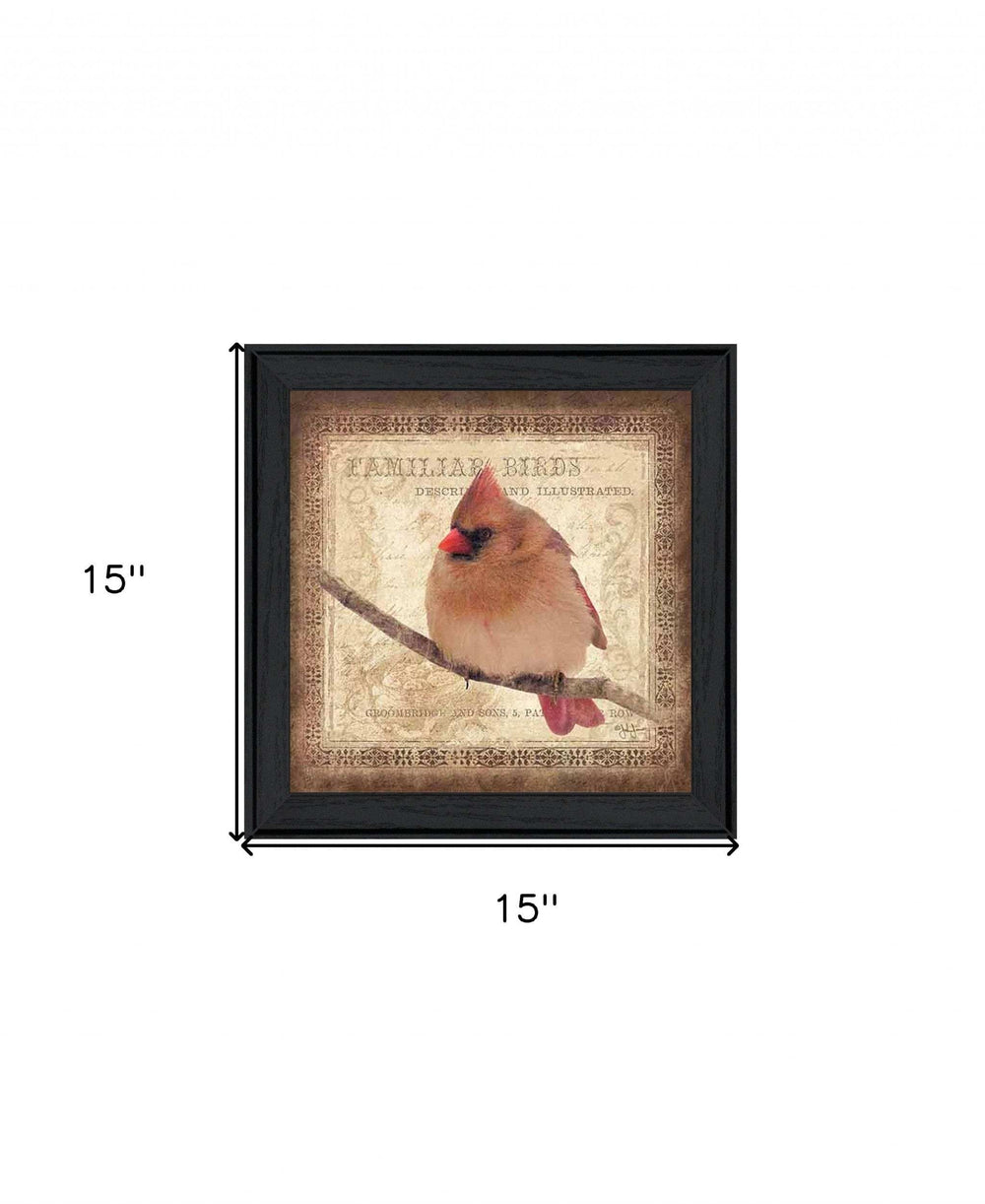 Female Cardinal 2 Black Framed Print Wall Art - Homeroots - Flyclothing LLC