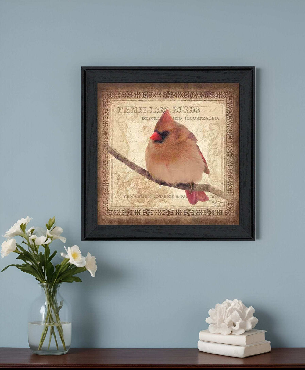 Female Cardinal 2 Black Framed Print Wall Art - Homeroots - Flyclothing LLC