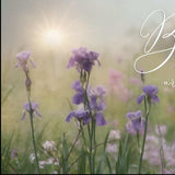 Bloom where you are planted 2 Black Framed Print Wall Art - Homeroots - Flyclothing LLC