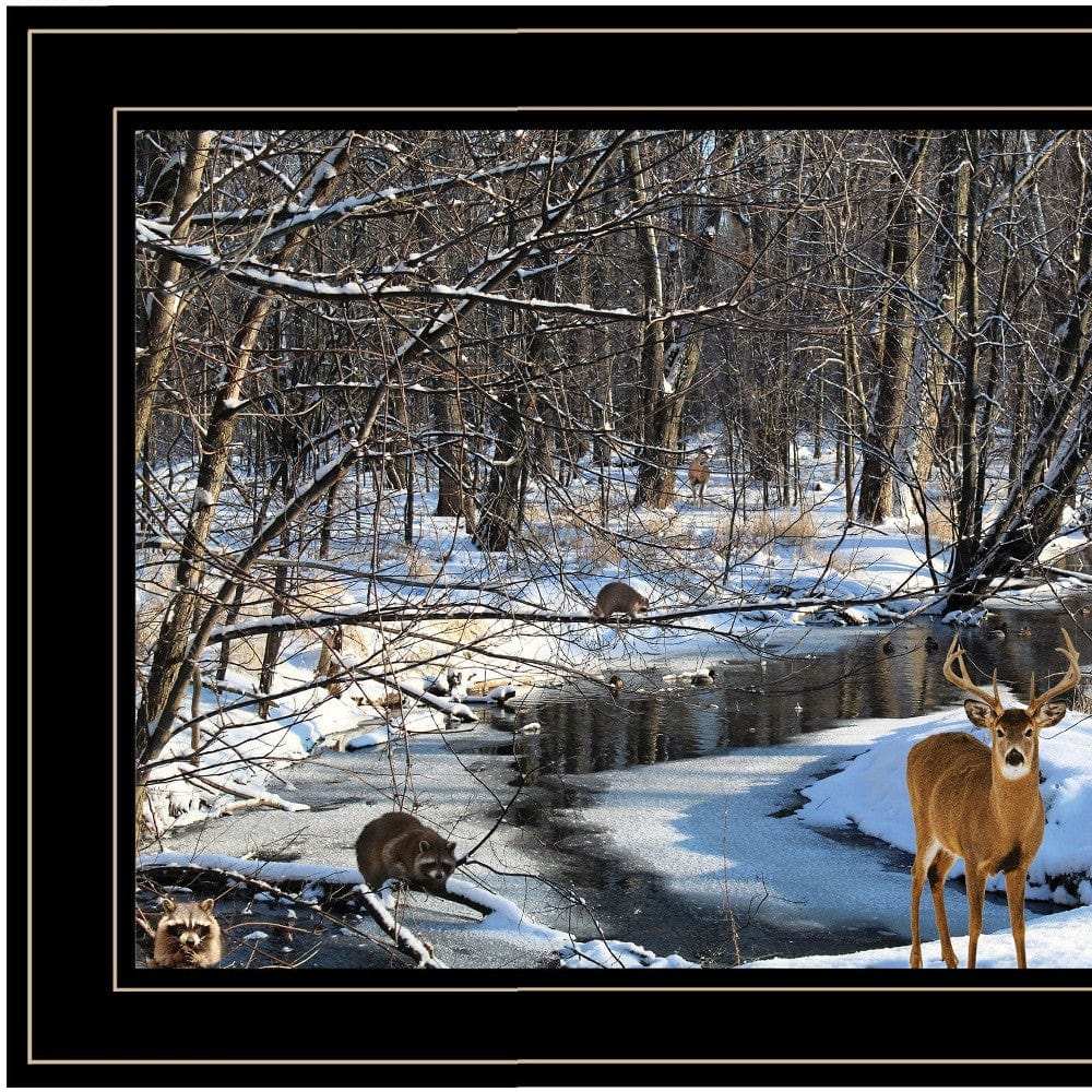 Great Outdoors Nature 2 Black Framed Print Wall Art - Homeroots - Flyclothing LLC