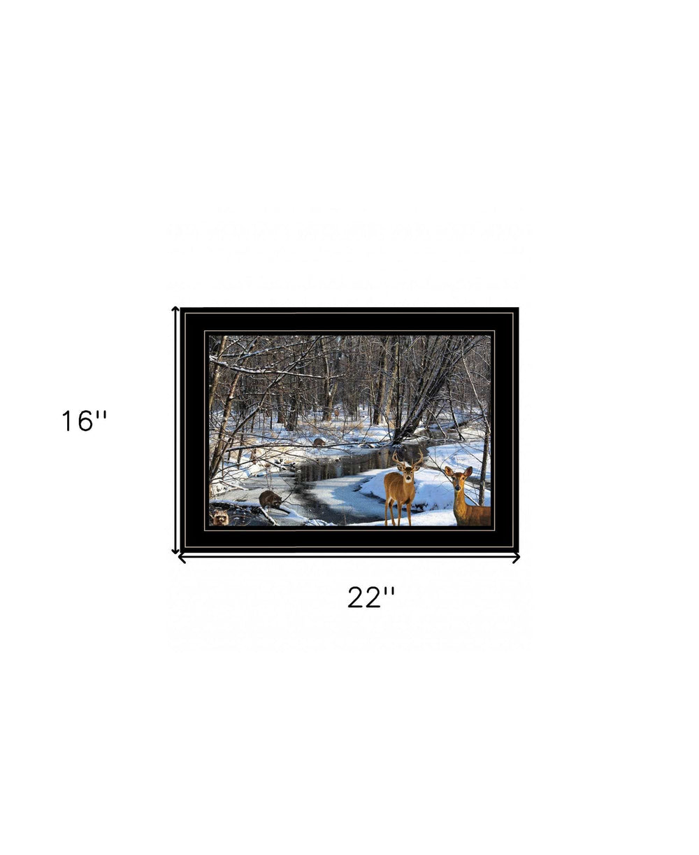Great Outdoors Nature 2 Black Framed Print Wall Art - Homeroots - Flyclothing LLC