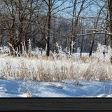 Natures Simple Blessings 1 Black Framed Print Wall Art - Homeroots - Flyclothing LLC