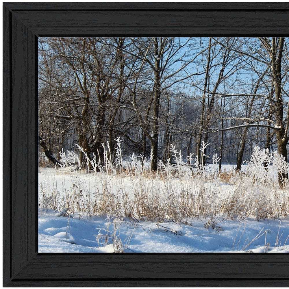 Natures Simple Blessings 1 Black Framed Print Wall Art - Homeroots - Flyclothing LLC