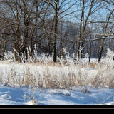 Natures Simple Blessings 2 Black Framed Print Wall Art - Homeroots - Flyclothing LLC