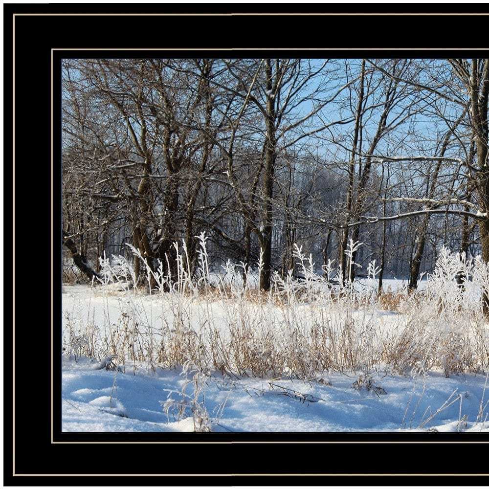 Natures Simple Blessings 2 Black Framed Print Wall Art - Homeroots - Flyclothing LLC