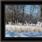 Natures Simple Blessings 2 Black Framed Print Wall Art - Homeroots - Flyclothing LLC