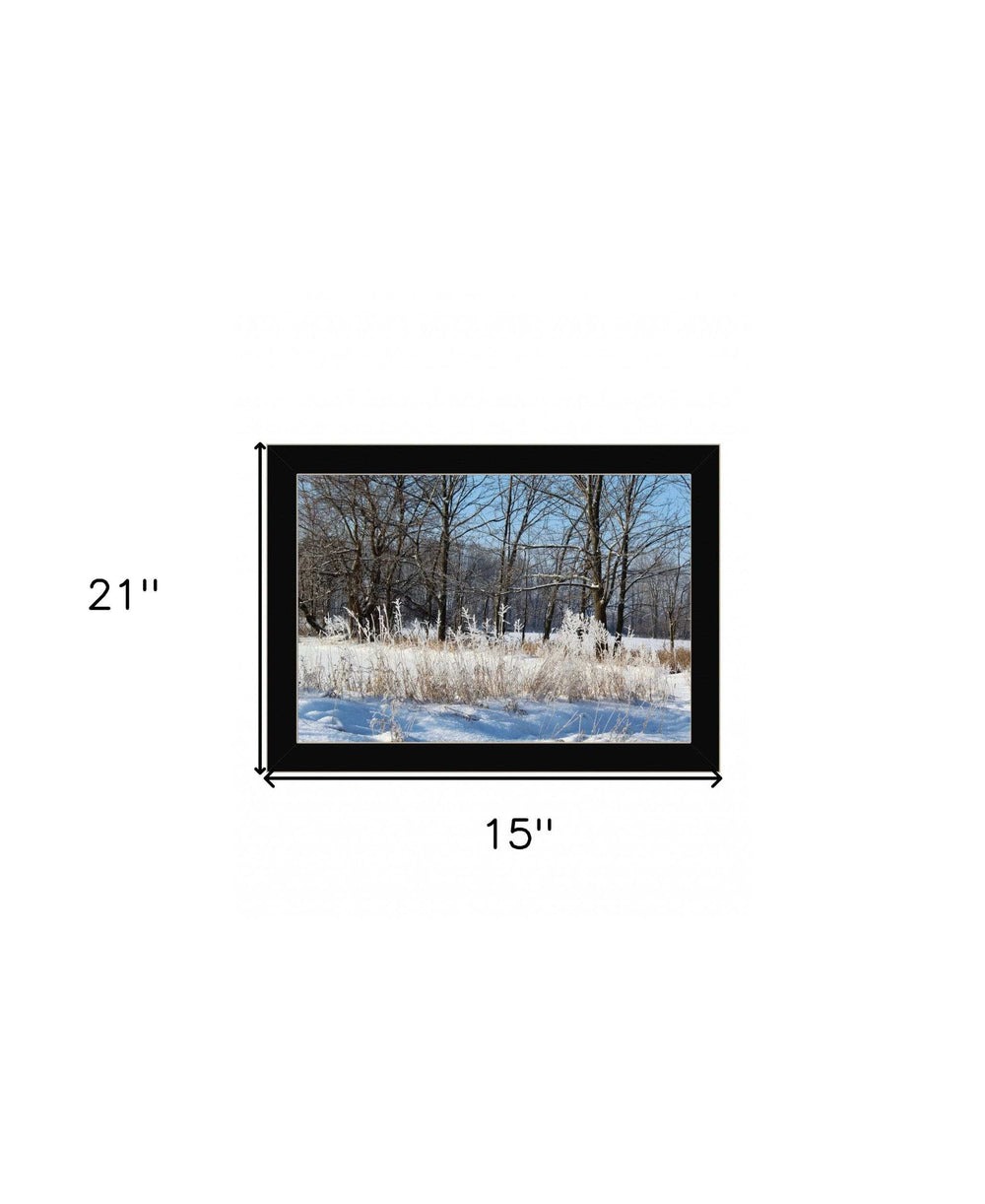 Natures Simple Blessings 3 Black Framed Print Wall Art - Homeroots - Flyclothing LLC