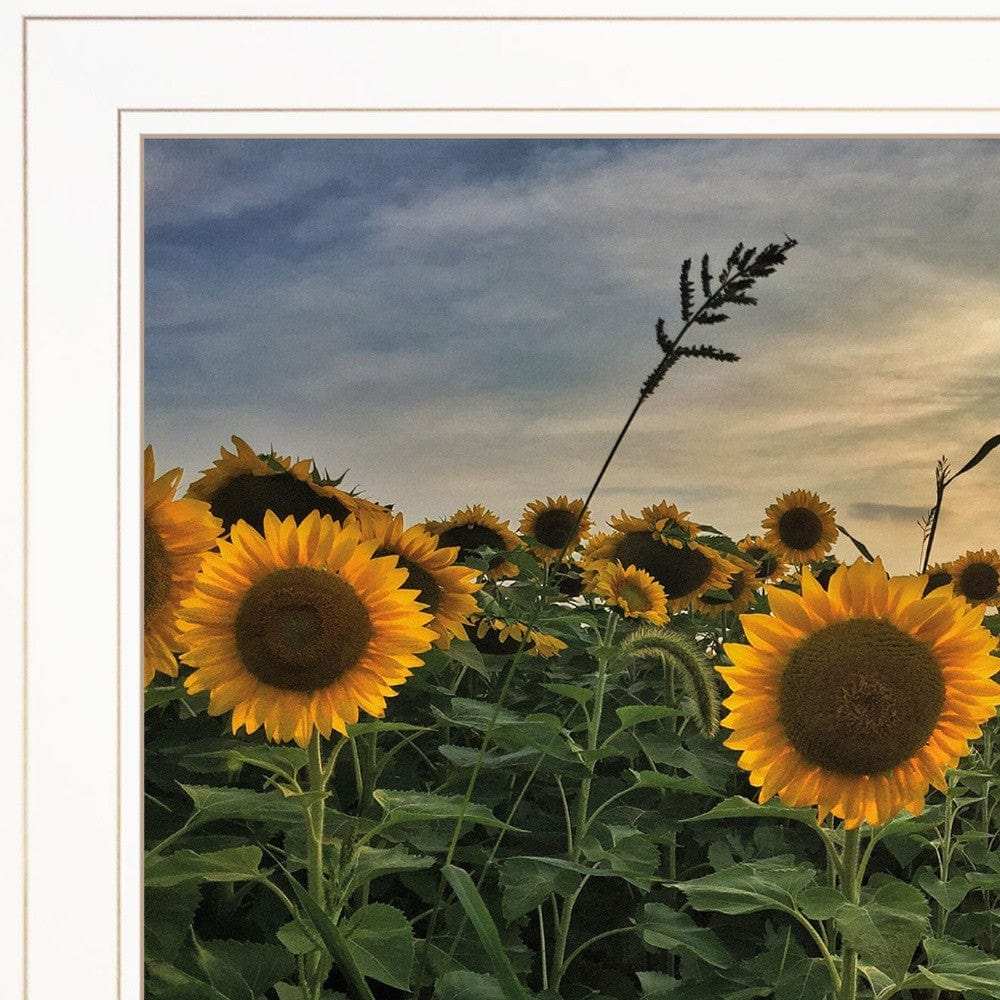 Midwest Livin I 1 White Framed Print Wall Art - Homeroots - Flyclothing LLC