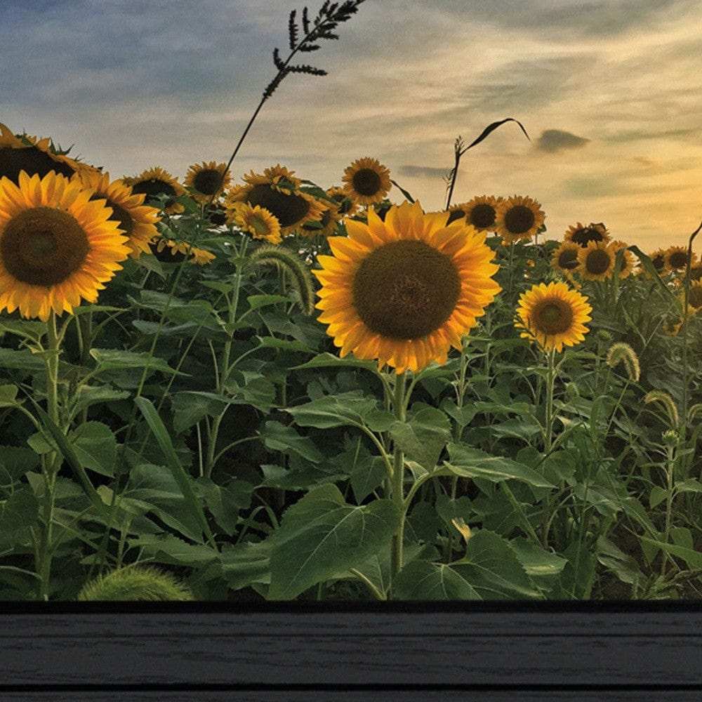 Midwest Livin I 2 Black Framed Print Wall Art - Homeroots - Flyclothing LLC