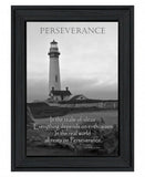 Perseverance Grayscale 1 Black Framed Print Wall Art - Homeroots - Flyclothing LLC