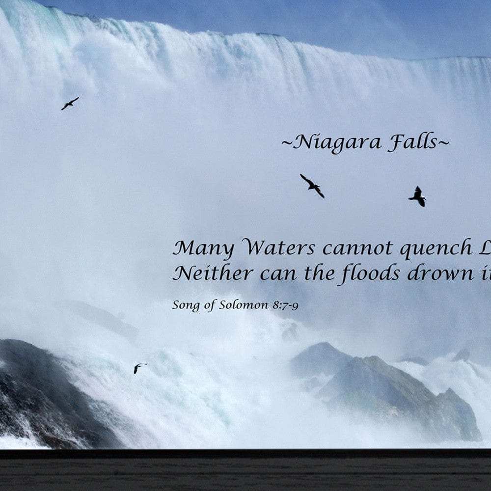 Song of Solomon Black Framed Print Wall Art - Homeroots - Flyclothing LLC