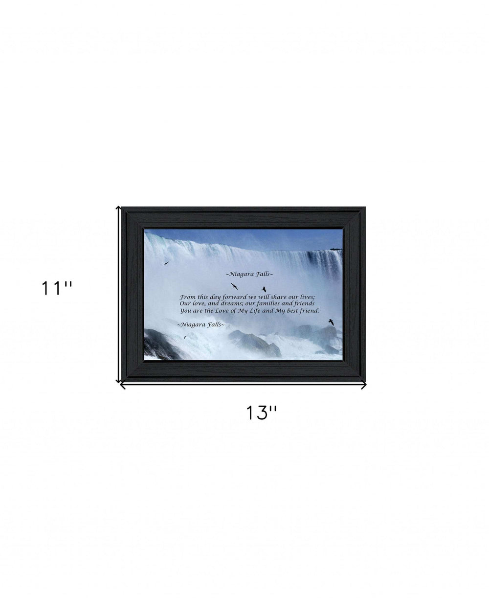 Niagara Falls Black Framed Print Wall Art - Homeroots - Flyclothing LLC