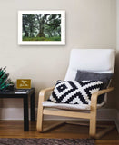 Enchanted Forest I 2 White Framed Print Wall Art - Homeroots - Flyclothing LLC