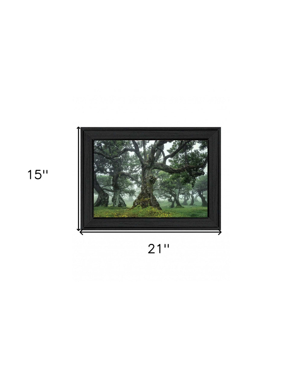 Enchanted Forest I 3 Black Framed Print Wall Art - Homeroots - Flyclothing LLC