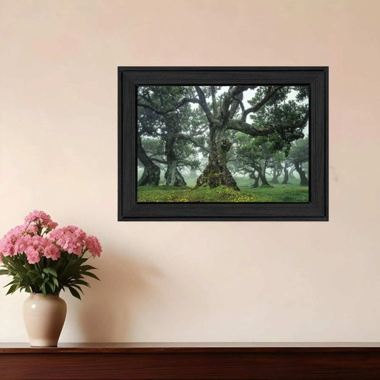 Enchanted Forest I 3 Black Framed Print Wall Art - Homeroots - Flyclothing LLC