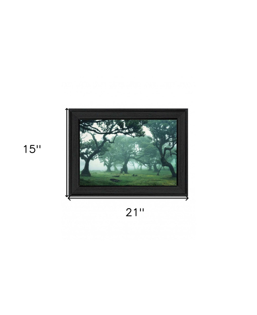 Enchanted Forest II 3 Black Framed Print Wall Art - Homeroots - Flyclothing LLC