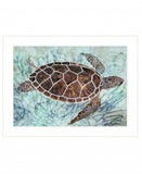 Sea Turtles Collage 1 White Framed Print Wall Art - Homeroots - Flyclothing LLC