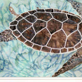 Sea Turtles Collage 1 White Framed Print Wall Art - Homeroots - Flyclothing LLC