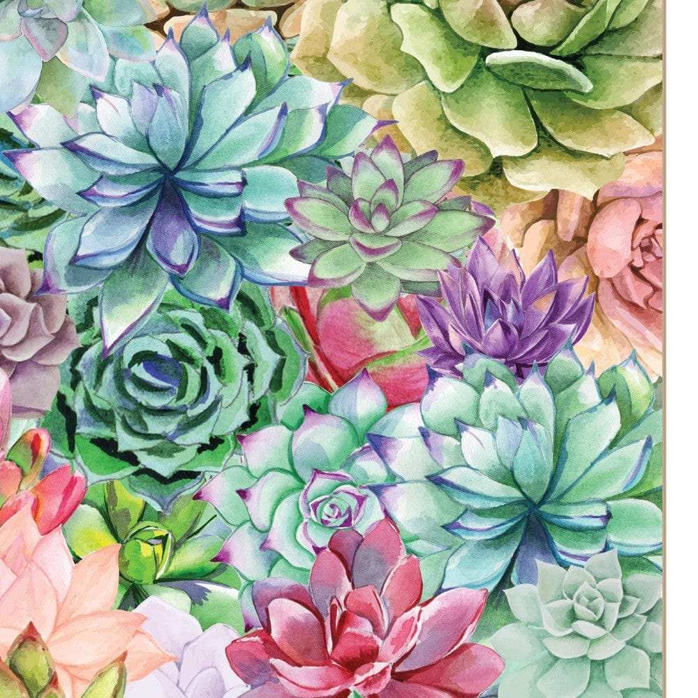 Succulents Paradise 1 White Framed Print Wall Art - Homeroots - Flyclothing LLC