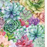 Succulents Paradise 1 White Framed Print Wall Art - Homeroots - Flyclothing LLC