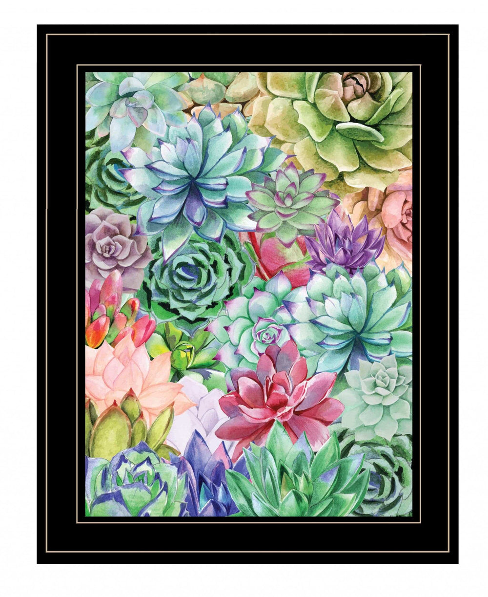 Succulents Paradise 3 Black Framed Print Wall Art - Homeroots - Flyclothing LLC