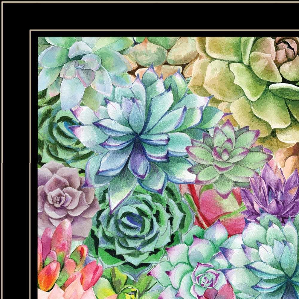 Succulents Paradise 3 Black Framed Print Wall Art - Homeroots - Flyclothing LLC