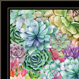 Succulents Paradise 3 Black Framed Print Wall Art - Homeroots - Flyclothing LLC