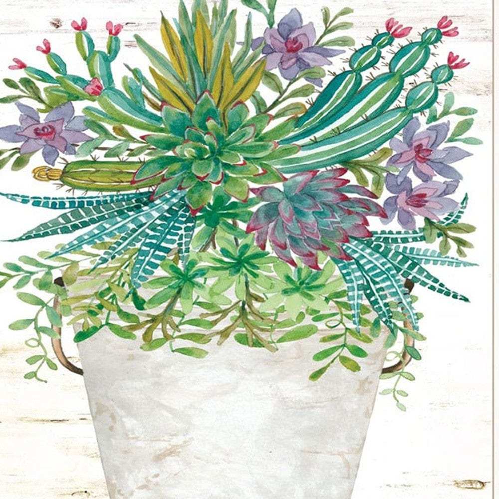 Set Of Two Succulents Dream and Believe White Framed Print Wall Art - Homeroots - Flyclothing LLC