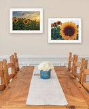 Set Of Two Midwest Living 1 White Framed Print Wall Art - Homeroots - Flyclothing LLC