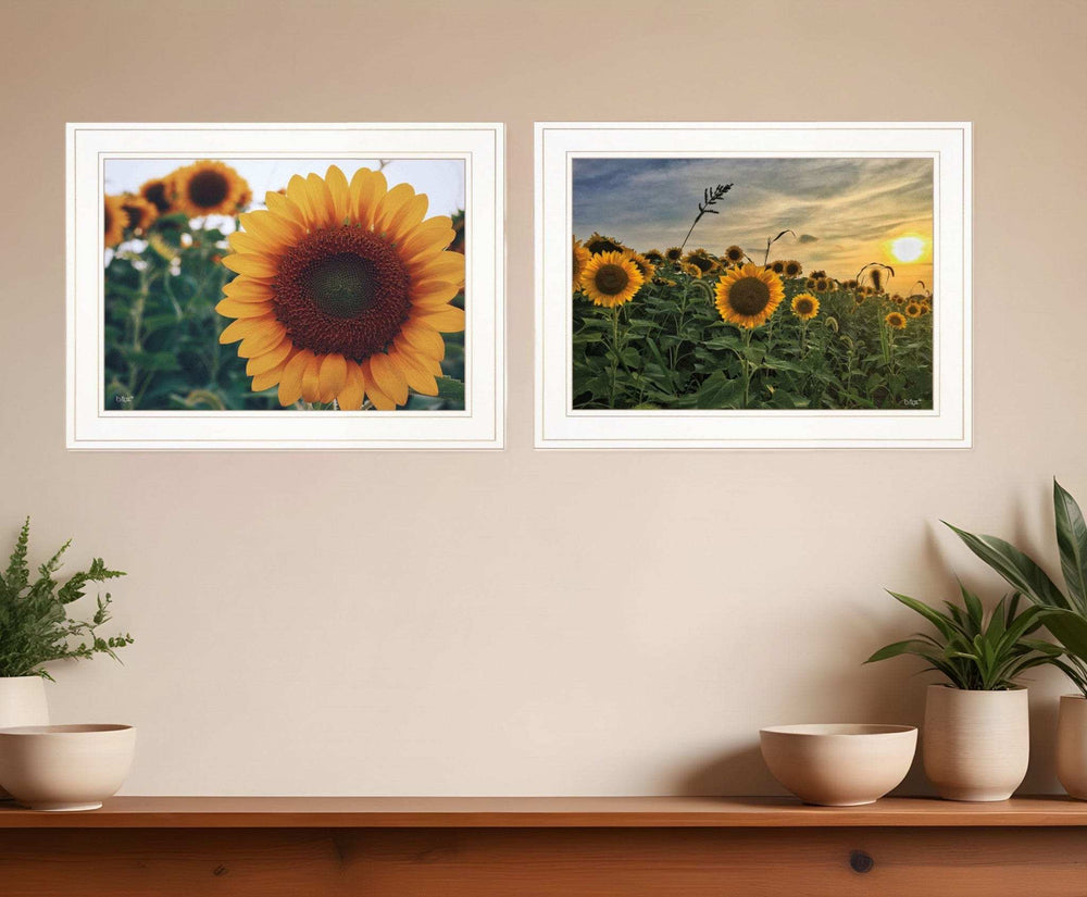 Set Of Two Midwest Living 1 White Framed Print Wall Art - Homeroots - Flyclothing LLC
