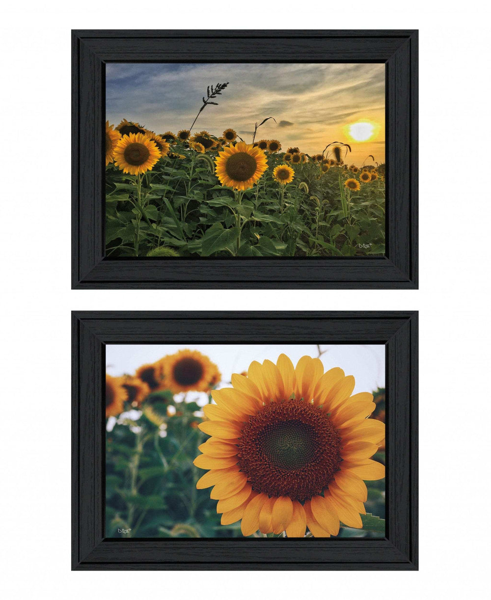 Set Of Two Midwest Living 2 Black Framed Print Wall Art - Homeroots - Flyclothing LLC