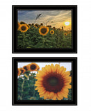Set Of Two Midwest Living 3 Black Framed Print Wall Art - Homeroots - Flyclothing LLC