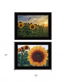 Set Of Two Midwest Living 3 Black Framed Print Wall Art - Homeroots - Flyclothing LLC