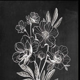 Set Of Two Vintage Flowers in Bloom Black Framed Print Wall Art - Homeroots - Flyclothing LLC