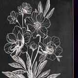 Set Of Two Vintage Flowers in Bloom Black Framed Print Wall Art - Homeroots - Flyclothing LLC