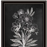 Set Of Two Vintage Chalkboard Blooms Black Framed Print Wall Art - Homeroots - Flyclothing LLC