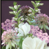 Set Of Two Lilac and Wild Plum Bouquet Black Framed Print Wall Art - Homeroots - Flyclothing LLC