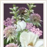 Set Of Two Lilac and Wild Plum Bouquet White Framed Print Wall Art - Homeroots - Flyclothing LLC