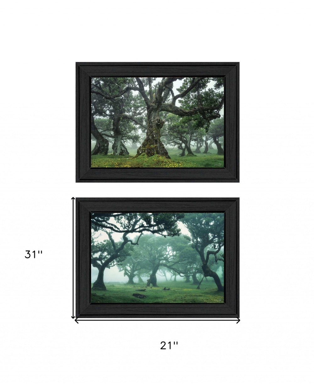 Set Of Two Enchanted Forest 2 Black Framed Print Wall Art - Homeroots - Flyclothing LLC